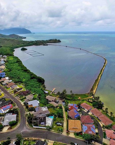 Paepae o Heeia – Growing Seafood for our community one pōhaku at a time